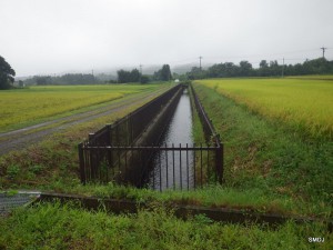 実験河川